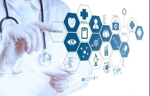 貓九視角 洞察大健康產業發展趨勢，賦能信息咨詢服務新篇章