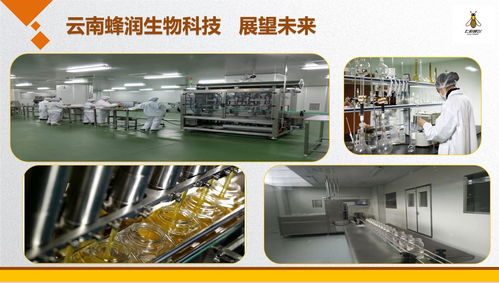 云南蜂潤集結愛心，科技助殘奧健兒出征